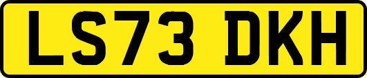 LS73DKH