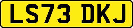 LS73DKJ