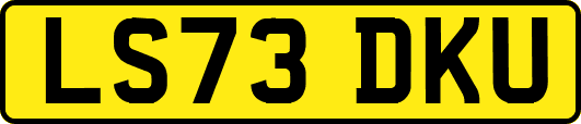 LS73DKU