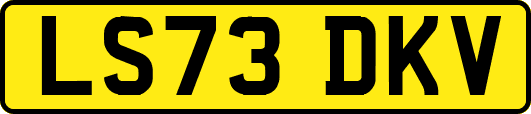 LS73DKV