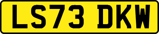 LS73DKW