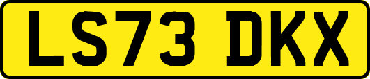 LS73DKX