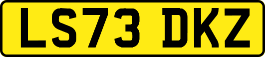LS73DKZ