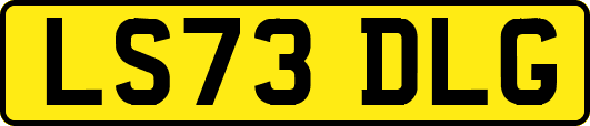 LS73DLG