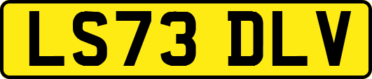 LS73DLV