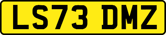 LS73DMZ