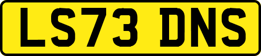 LS73DNS