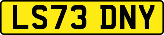 LS73DNY