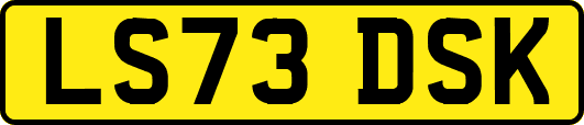 LS73DSK