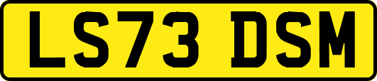 LS73DSM