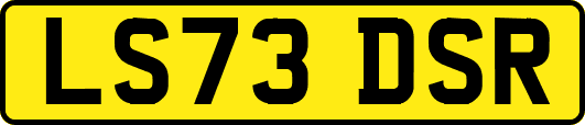 LS73DSR