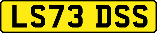 LS73DSS