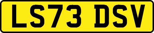 LS73DSV