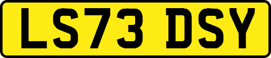 LS73DSY