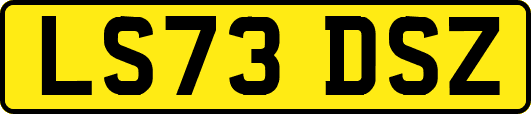 LS73DSZ