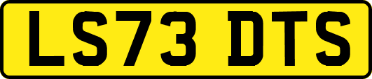 LS73DTS