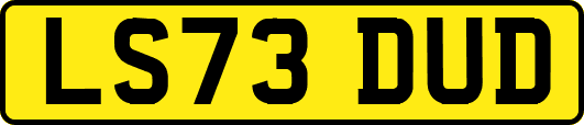 LS73DUD