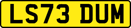 LS73DUM