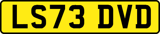 LS73DVD