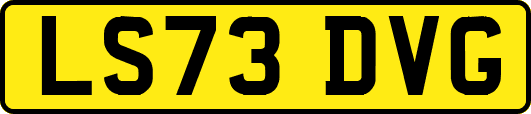 LS73DVG