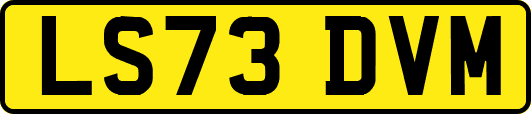 LS73DVM