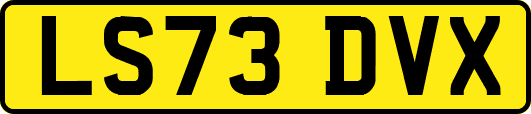 LS73DVX