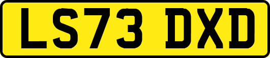 LS73DXD
