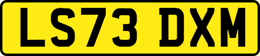 LS73DXM