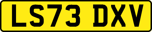 LS73DXV