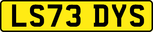 LS73DYS