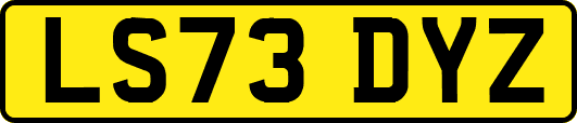LS73DYZ