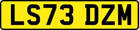 LS73DZM