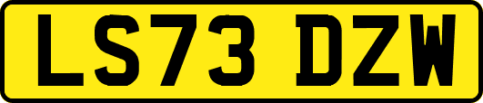 LS73DZW