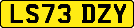 LS73DZY
