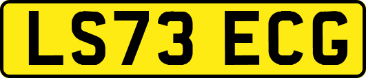 LS73ECG