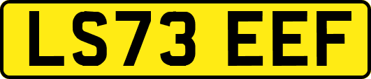 LS73EEF