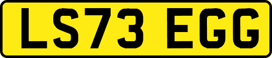 LS73EGG
