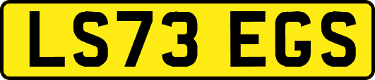 LS73EGS