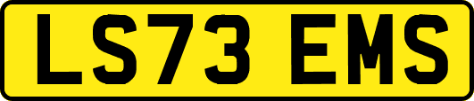 LS73EMS