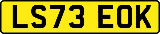 LS73EOK