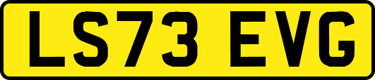 LS73EVG