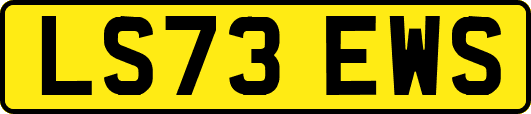LS73EWS