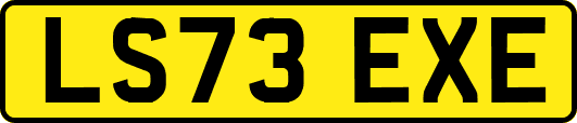 LS73EXE