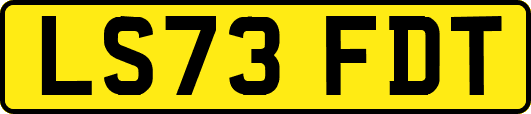 LS73FDT
