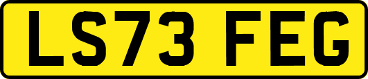 LS73FEG