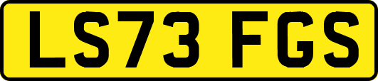 LS73FGS