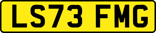 LS73FMG
