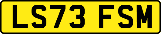 LS73FSM