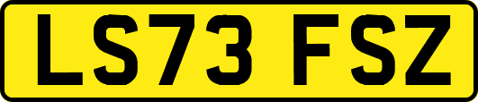 LS73FSZ