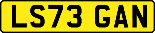 LS73GAN
